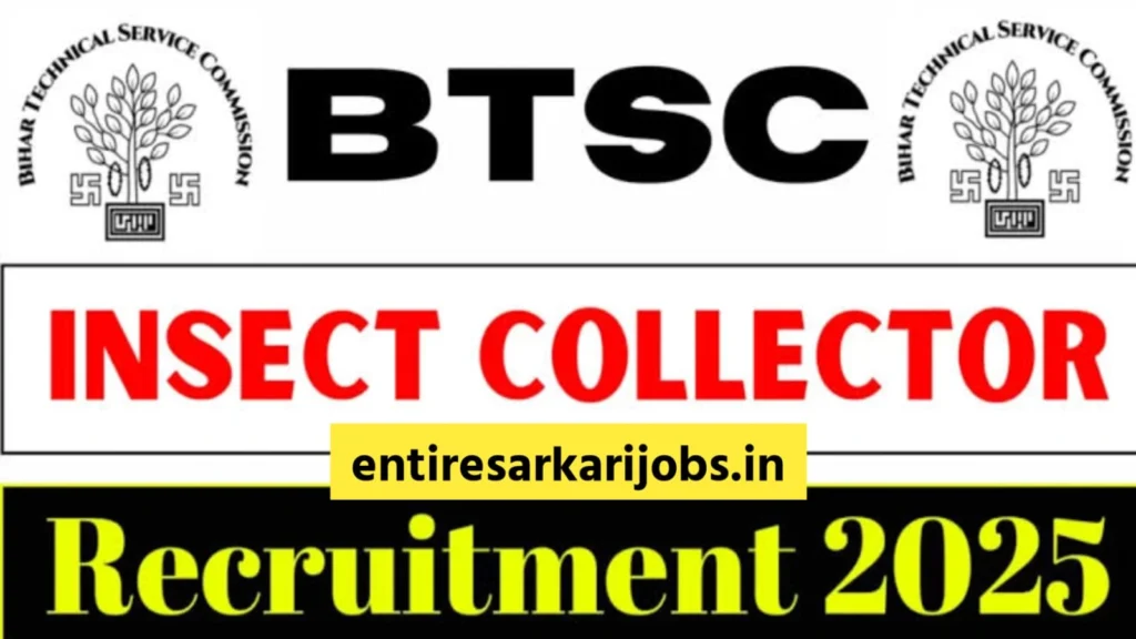 Bihar BTSC 10+2 Insect Collectors Recruitment 2025: Application begins for 53 posts, know full process and important details